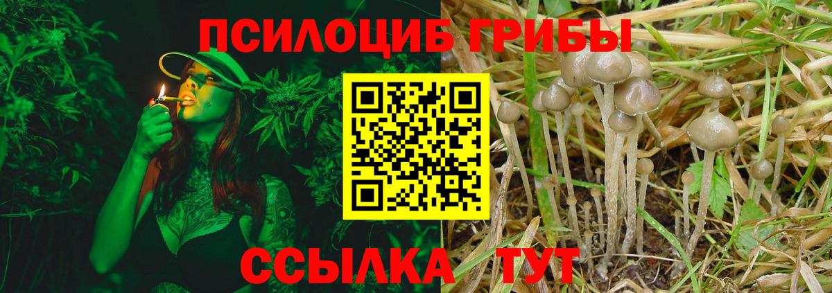 Псилоцибиновые грибы мицелий Чусовой
