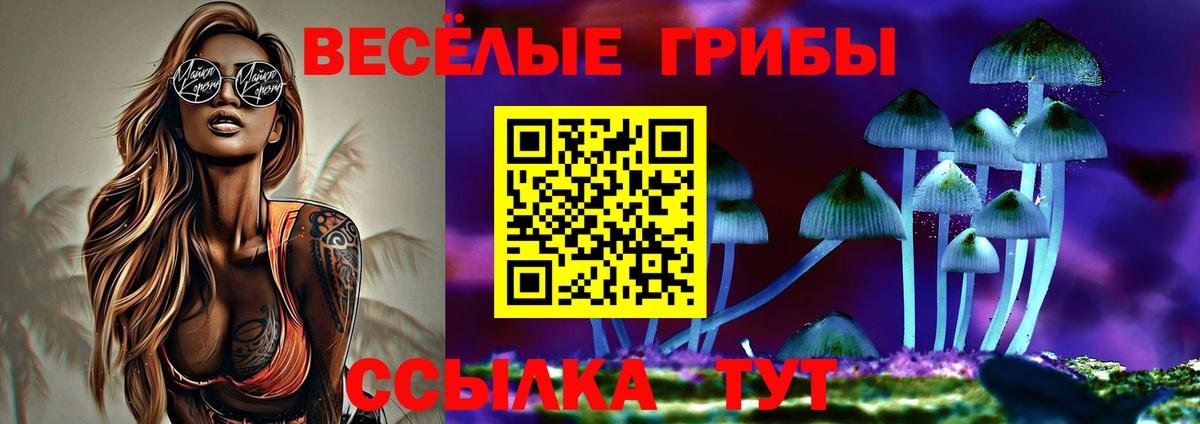 Галлюциногенные грибы MAGIC MUSHROOMS  Псилоцибиновые грибы Psilocybe  Чусовой  Вход с VPN 